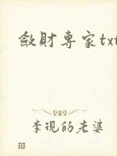 敛财专家txt