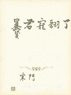 暴君宠翻了小娇宝