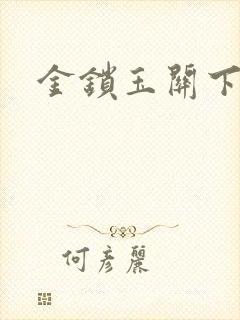 金锁玉关下载
