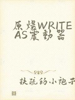 原炀WRITE AS震动器