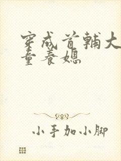 穿成首辅大人的童养媳