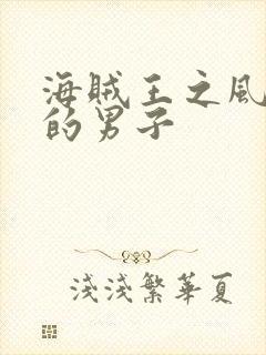 海贼王之风一样的男子