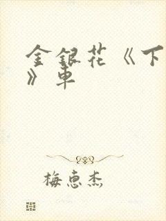 金银花《下厨房》车