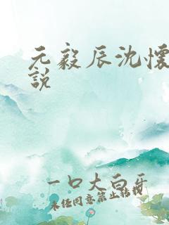 元毅辰沈怀妆小说