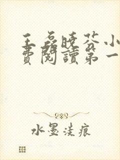 王磊晓芬小说免费阅读第一章