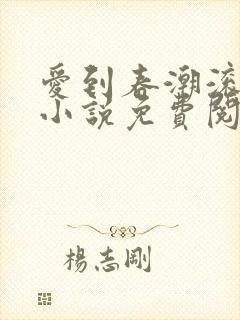 爱到春潮滚滚来小说免费阅读