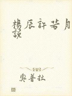 杨辰许若月的小说