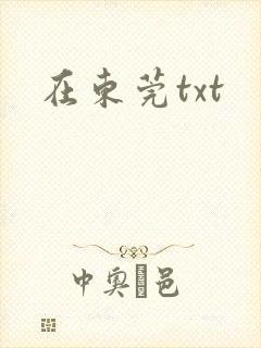 在东莞txt