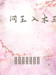 网王 入木三分