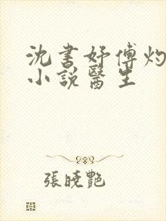 沈书妤傅灼抖音小说医生