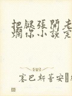 把腿张开老子臊烂你小说完