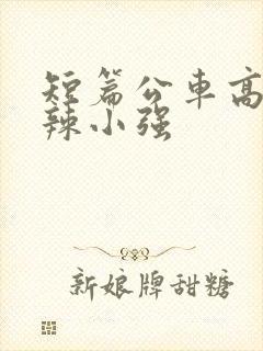 短篇公车高h肉辣小强