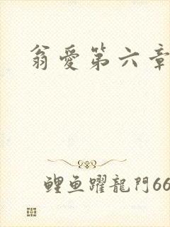 翁爱第六章