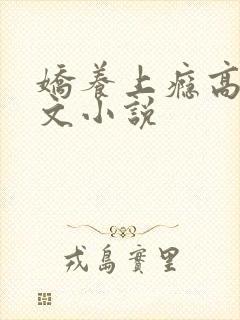 娇养上瘾高H爽文小说