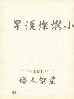 星汉灿烂小说