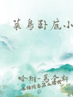 菜鸟卧底小正太