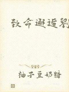 致命邂逅刘小寐