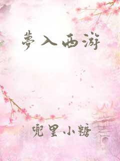 梦入西游