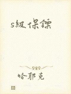 s级保镖