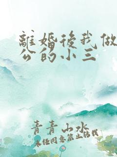 离婚后我做了老公的小三