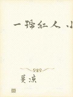 一号红人 小说