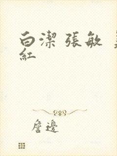 白洁 张敏 美红