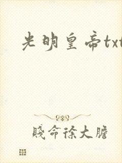 光明皇帝txt