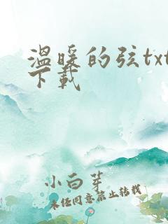 温暖的弦txt下载