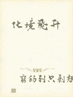 化境飞升