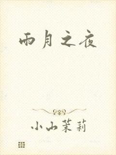 雨月之夜