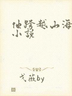 他跨越山海而来小说