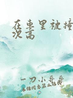 在车里被撞了八次高