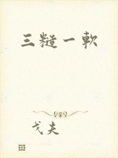 三糙一软