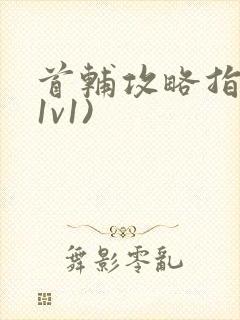 首辅攻略指南(1v1)