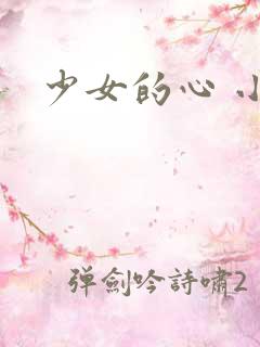少女的心 小说