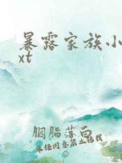 暴露家族小说txt