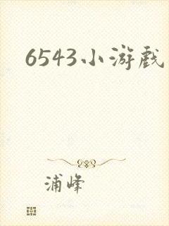 6543小游戏