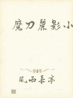 魔刀丽影小说