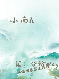 小南h