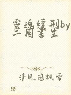 灵魂缓刑by 二团书生