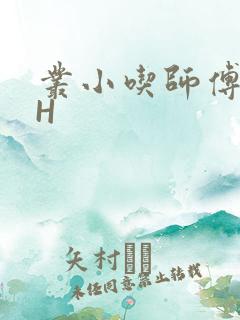 丛小吃师傅的HH