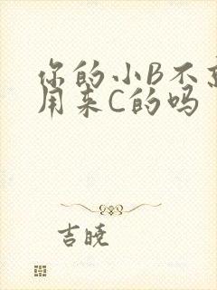 你的小B不就是用来C的吗