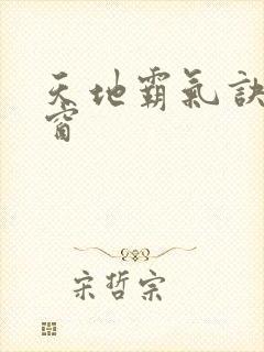 天地霸气诀无弹窗