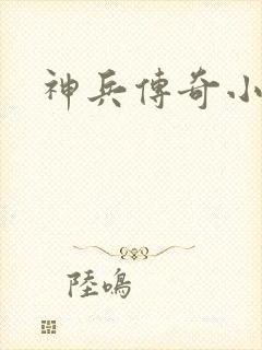 神兵传奇小说