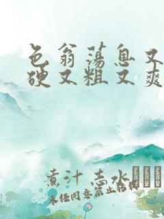 色翁荡息又大又硬又粗又爽小莹