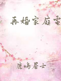 再婚家庭电视剧