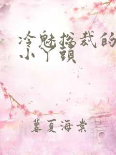 冷魅总裁的纯纯小丫头