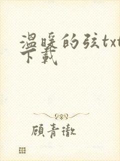 温暖的弦txt下载