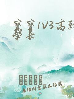 宝宝1V3高干学长
