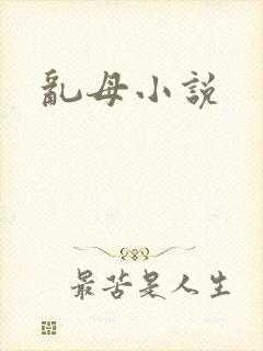 乱母小说
